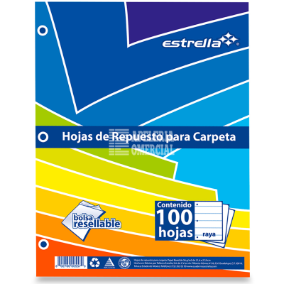 HOJAS P/CARTAPACIO 3 PERF. T. CARTA C/100 RAYA